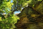 photo thumbnail #11