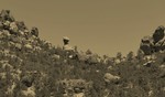 photo thumbnail #14