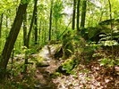 photo thumbnail #4