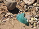 photo thumbnail #4