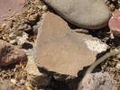 photo thumbnail #6