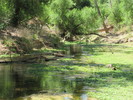 photo thumbnail #12