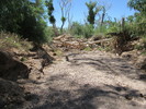 photo thumbnail #13