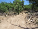 photo thumbnail #15