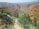 photo thumbnail #10