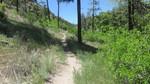 photo thumbnail #1