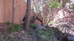 photo thumbnail #9