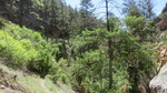 photo thumbnail #11