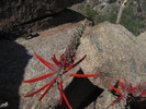 photo thumbnail #6