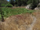 photo thumbnail #12