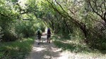 photo thumbnail #8