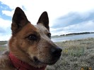 photo thumbnail #5