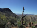 photo thumbnail #2