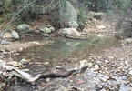 photo thumbnail #9