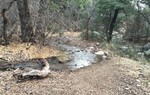 photo thumbnail #11