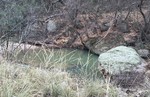 photo thumbnail #15