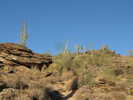 photo thumbnail #3