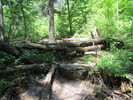 photo thumbnail #1
