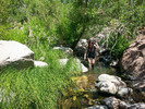 photo thumbnail #2
