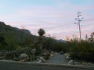 photo thumbnail #1