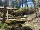 photo thumbnail #1