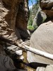 photo thumbnail #6