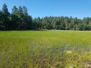 photo thumbnail #14
