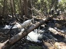 photo thumbnail #4