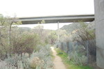 photo thumbnail #7