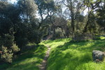 photo thumbnail #2