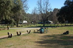 photo thumbnail #1
