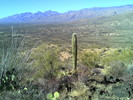 photo thumbnail #9