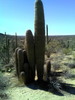 photo thumbnail #3