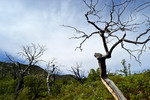 photo thumbnail #12
