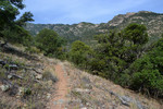 photo thumbnail #13