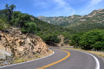 photo thumbnail #14
