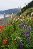photo thumbnail #2