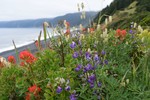 photo thumbnail #3