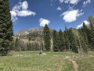 photo thumbnail #1