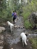 photo thumbnail #8