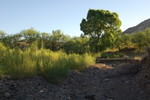 photo thumbnail #2