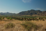 photo thumbnail #8