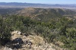 photo thumbnail #14