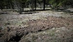 photo thumbnail #11