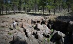 photo thumbnail #10