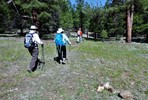 photo thumbnail #6
