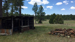 photo thumbnail #3