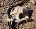 photo thumbnail #2