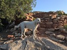 photo thumbnail #2