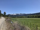 photo thumbnail #1